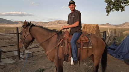 美国一匹家马与野马浪迹8年后与主人重聚 因“训练”痕迹被发现