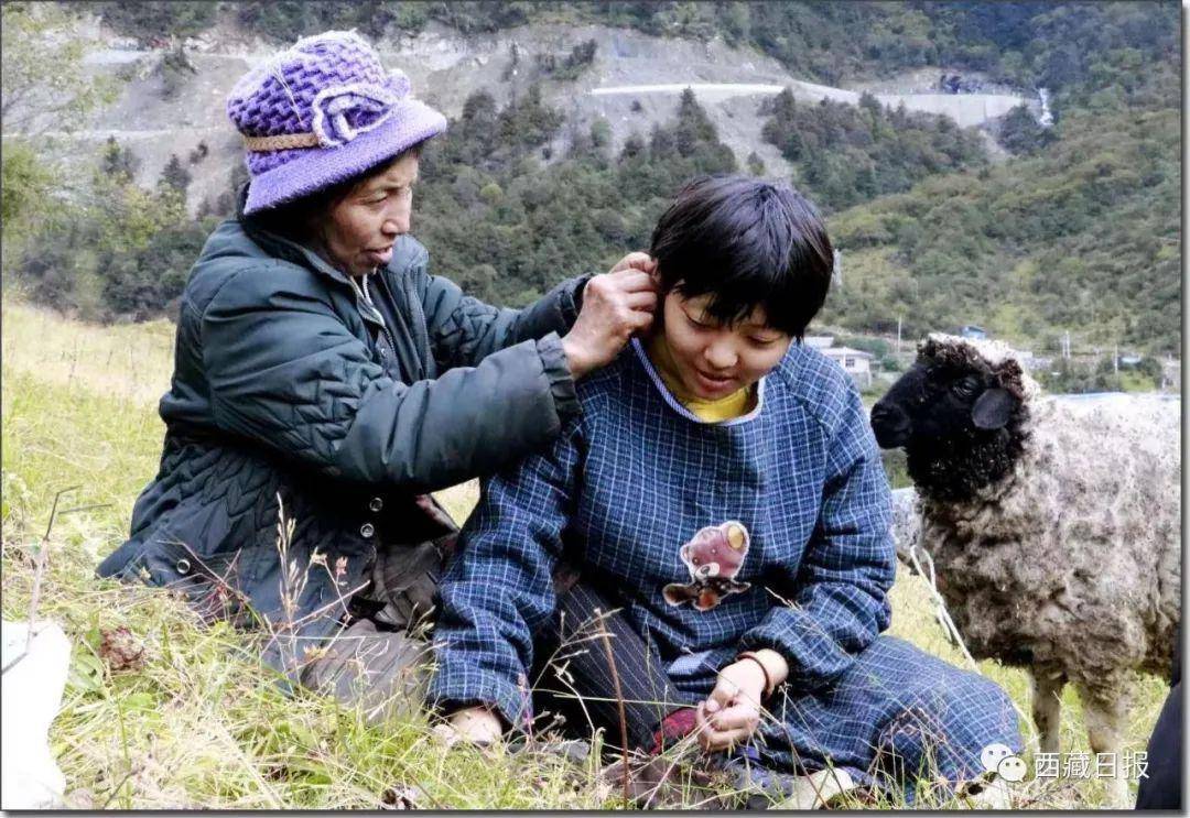 二十大代表卓嘎:继续当好神圣国土守护者_玉麦乡_群众_生活