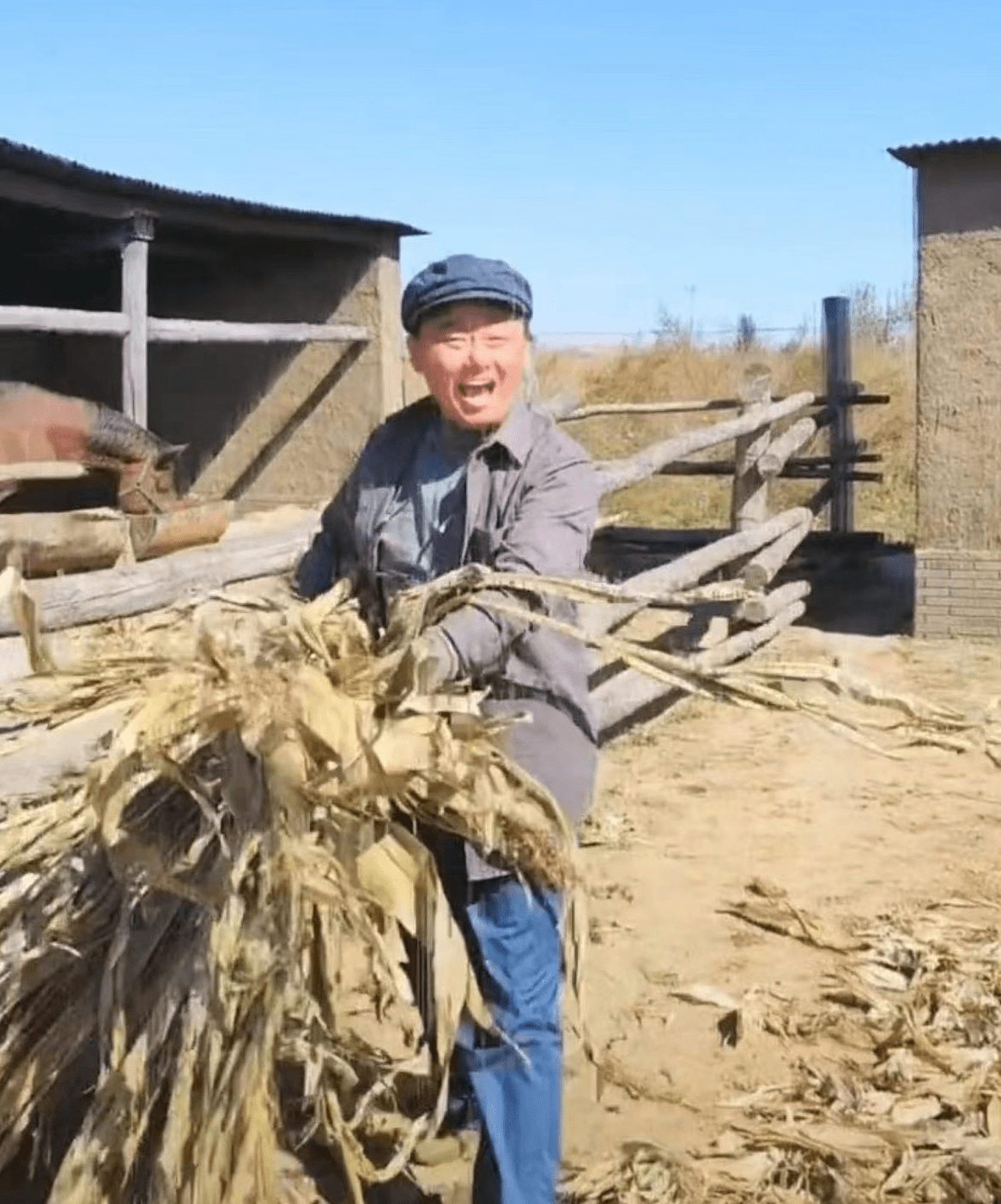 岁邵峰晒农村生活日常 泥土地喂牲口手法熟练