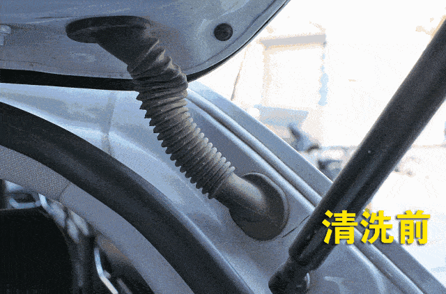 新蒲29.9秒两次普洗+两瓶玻璃水+一次雾化消毒+胎压检测，288抢4L全合成机油+机油滤芯+工时费等！
