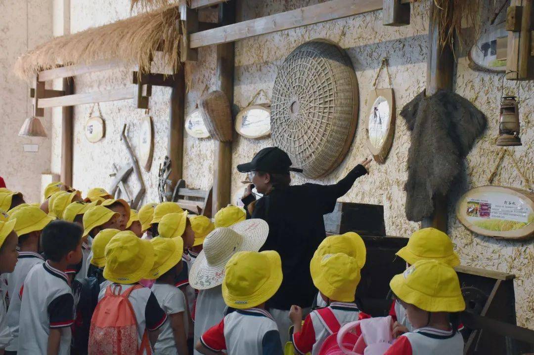 回归自然 找"稻"快乐 | 武平实幼开展"走进农耕文化"研学教育活动