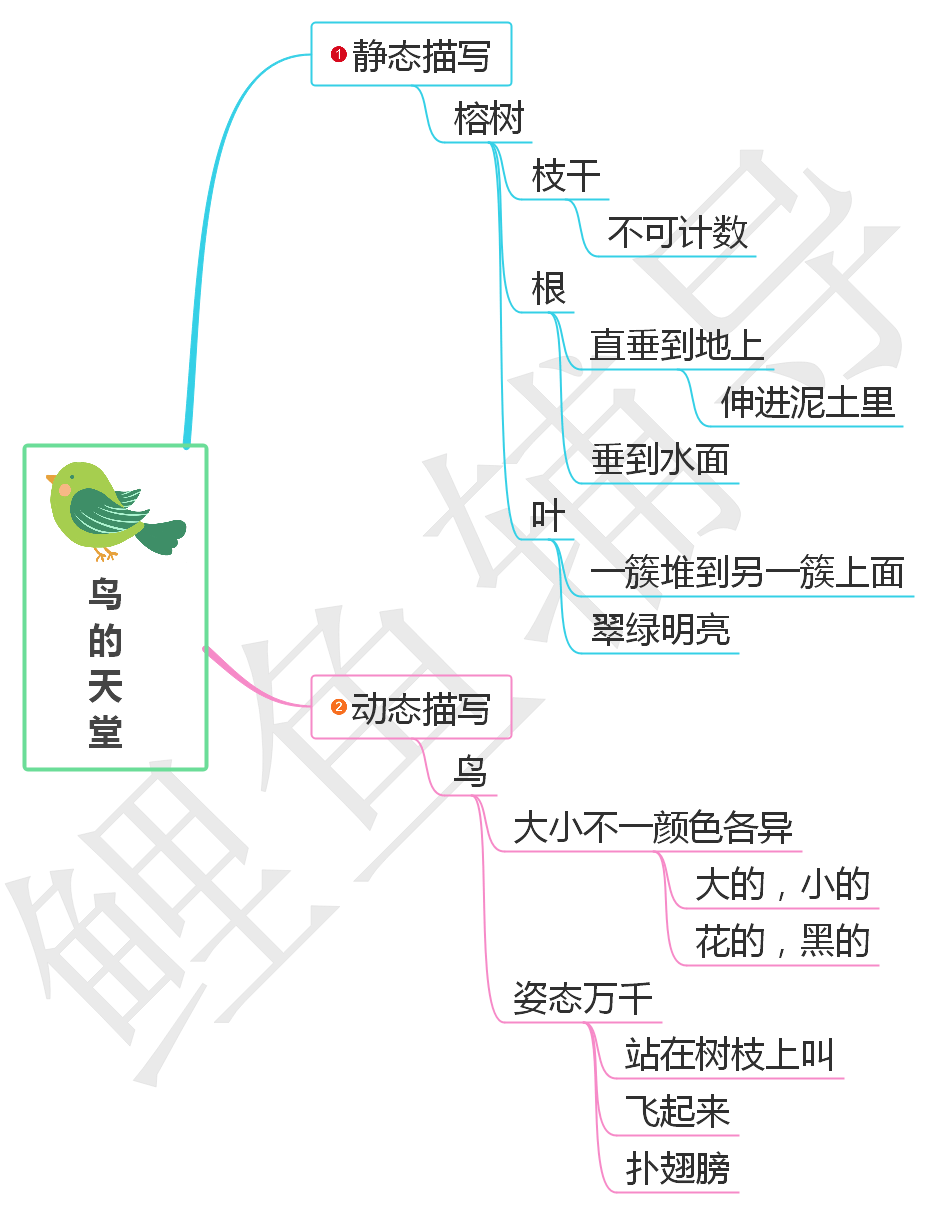 23课鸟的天堂思维导图图片