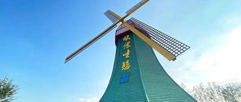 决胜全年我担当丨产业“金钥匙”，开启乡村“致富门”_项目_农业_种植