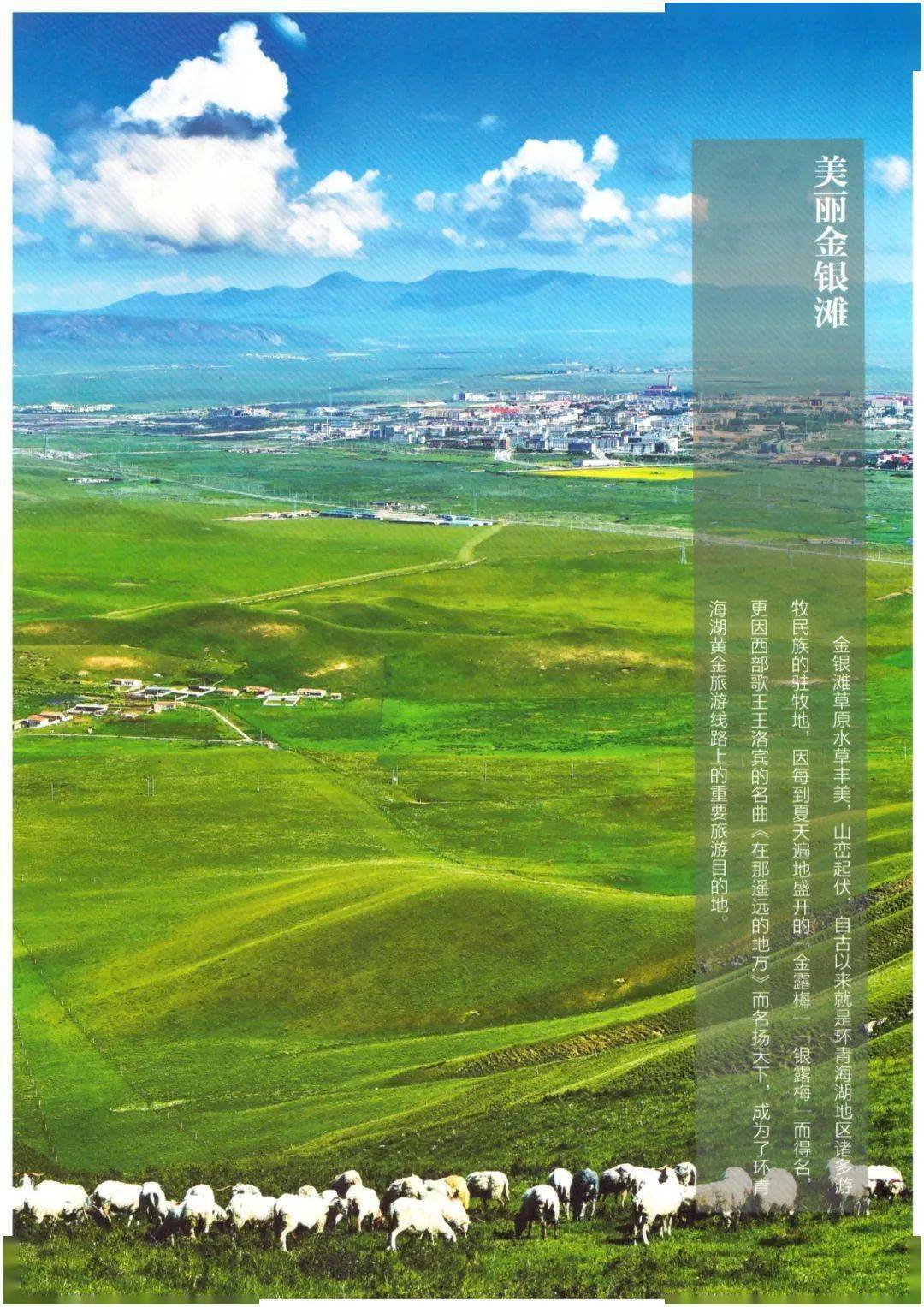 走读海北·荐品好书丨地方文献推荐