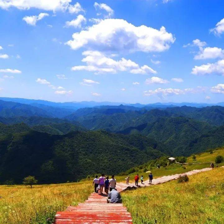 来留坝,我“氧”你! 紫柏山负氧离子含量超国际标准13倍_旅游_空气_避暑