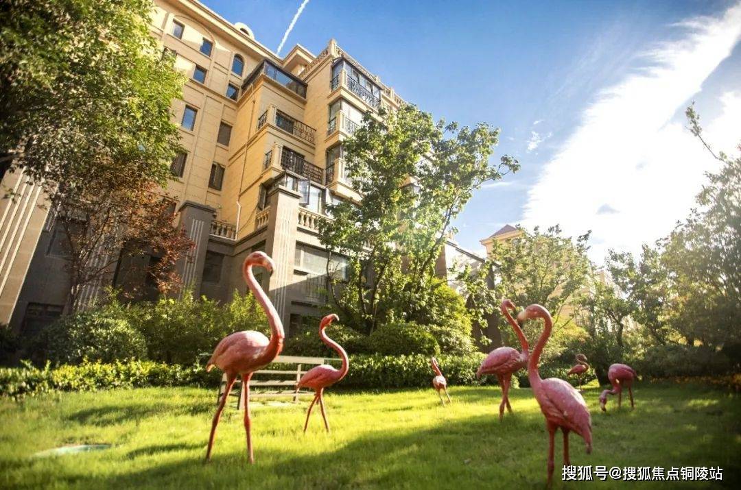 【官网】洛阳开元壹号售楼处电话400-116-7720转222-售楼中心@24小时