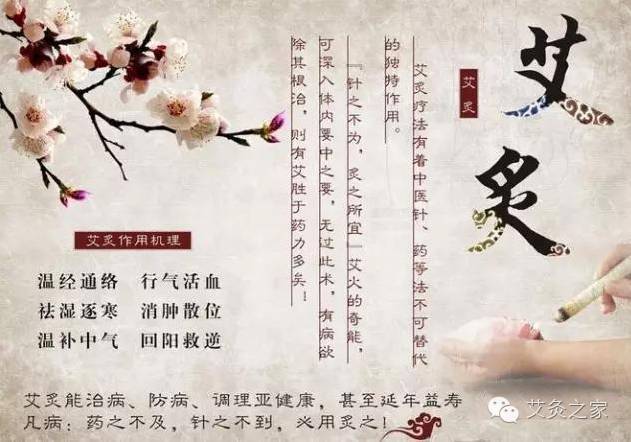 如何快速去掉艾灸后的烟味？_艾烟_味道_桔子