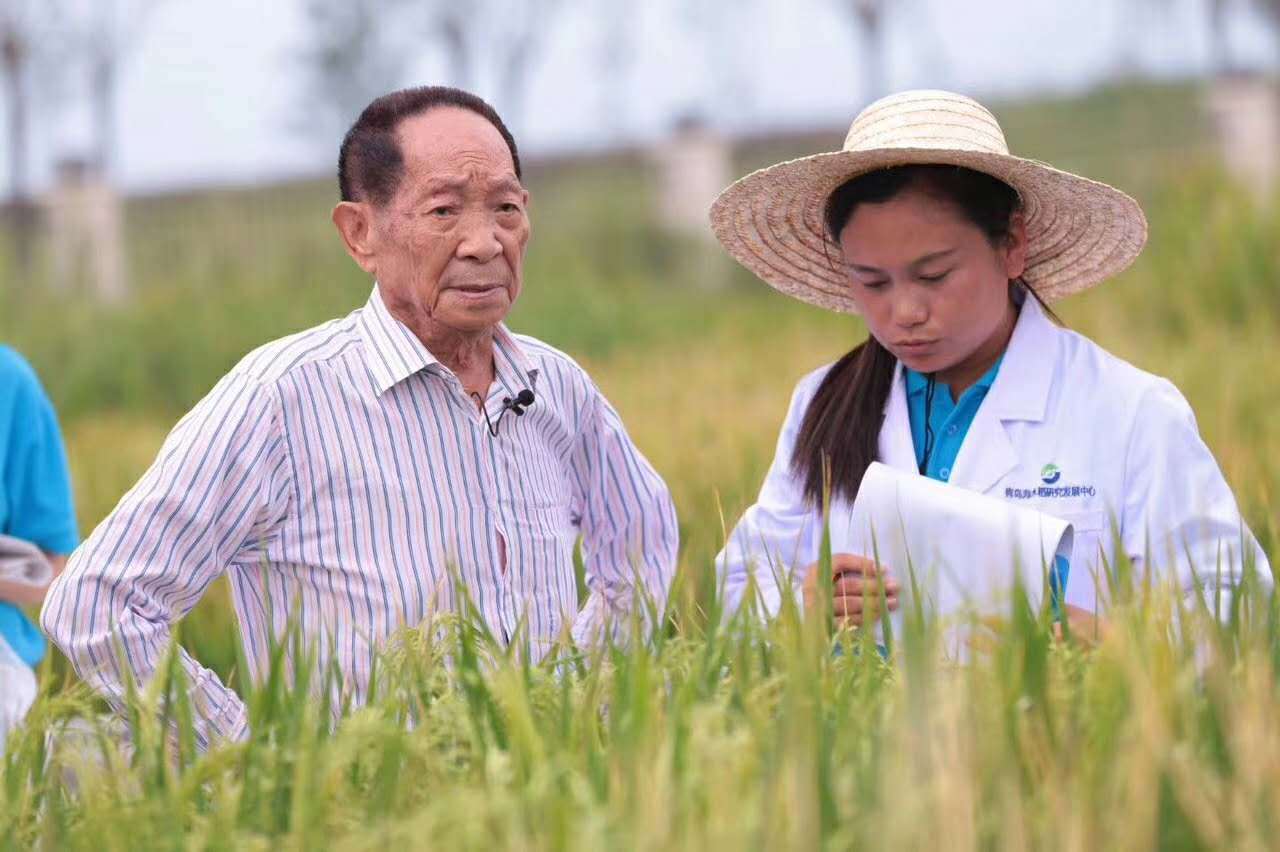 我也变老了",世界杂交水稻之父——袁隆平_研究_人民_实验