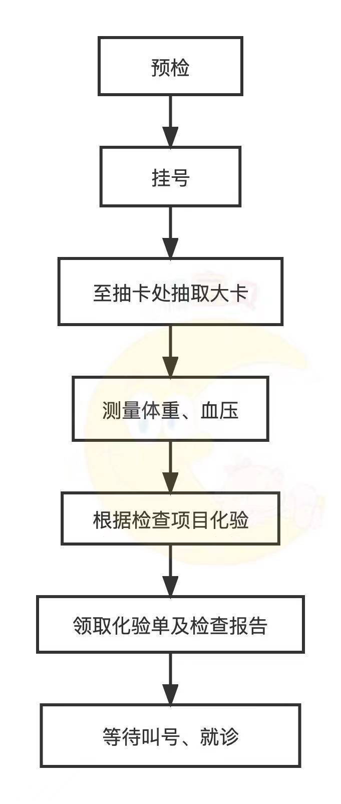 14周男女性别b超区别图图片