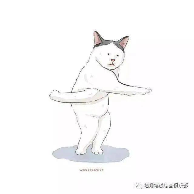 参考之资·艺‖ 猫奴画师将网红“沙雕”猫酿成插画后，胜利吸粉20万！