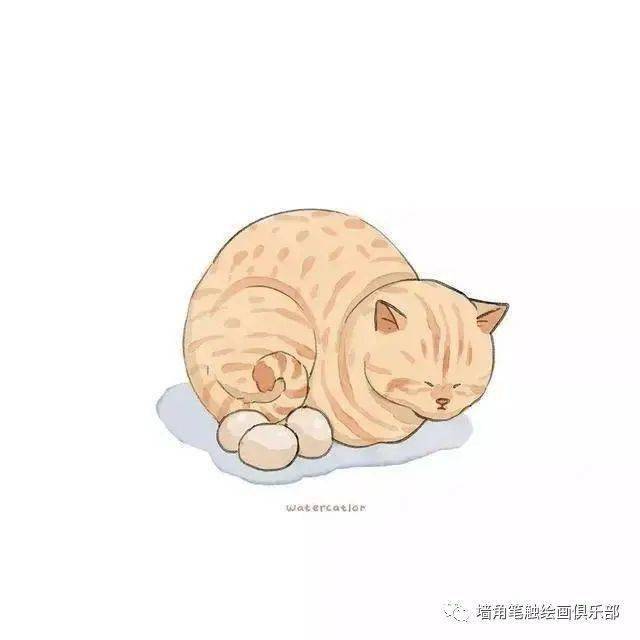 参考之资·艺‖ 猫奴画师将网红“沙雕”猫酿成插画后，胜利吸粉20万！