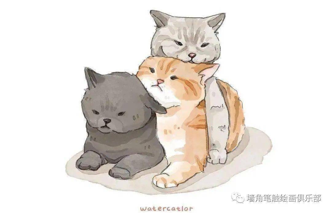 参考之资·艺‖ 猫奴画师将网红“沙雕”猫酿成插画后，胜利吸粉20万！