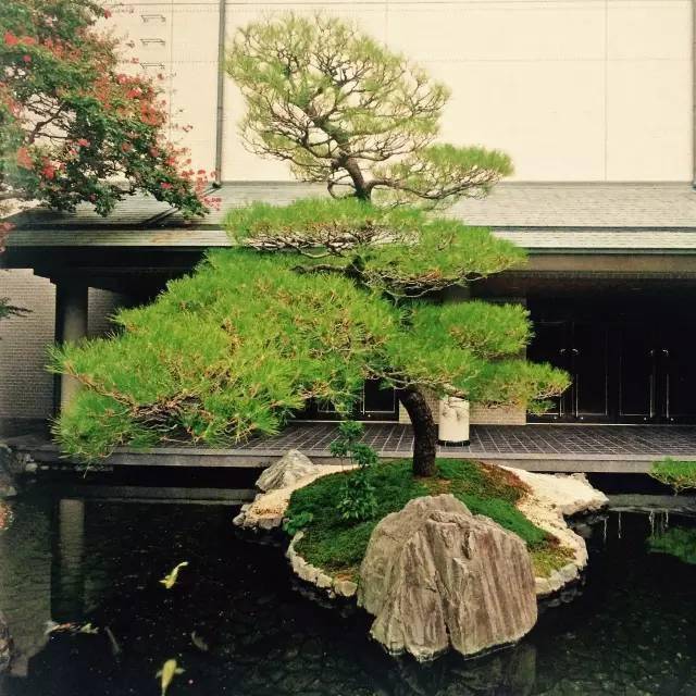 日本庭院枯山水的世界，国宝级枯山水设计师，竟是一位寺庙住持？！_庭园_野俊_瀑布