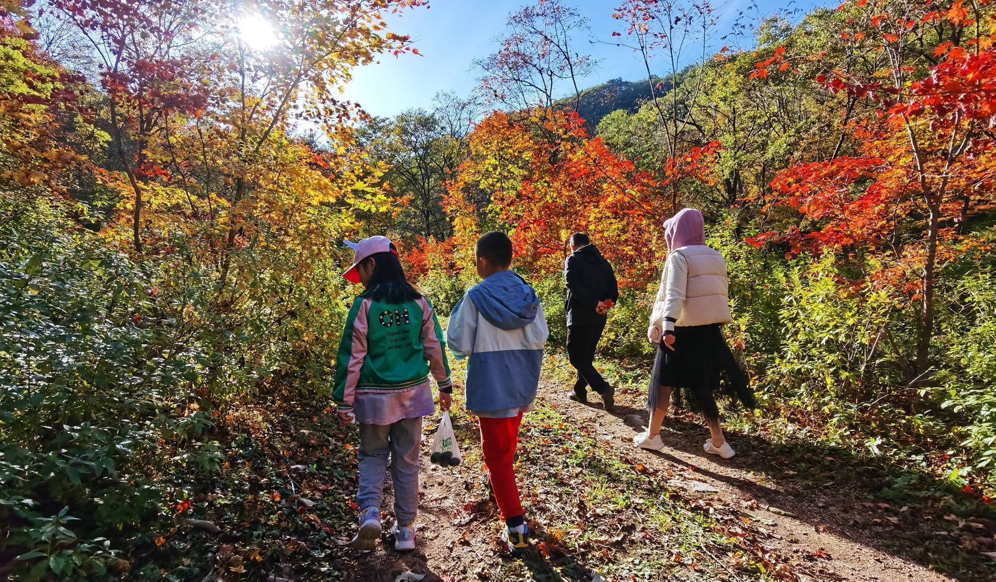 東北小眾賞楓地,丹東鳳城大王溝森林公園_景區_賽馬鎮_開發