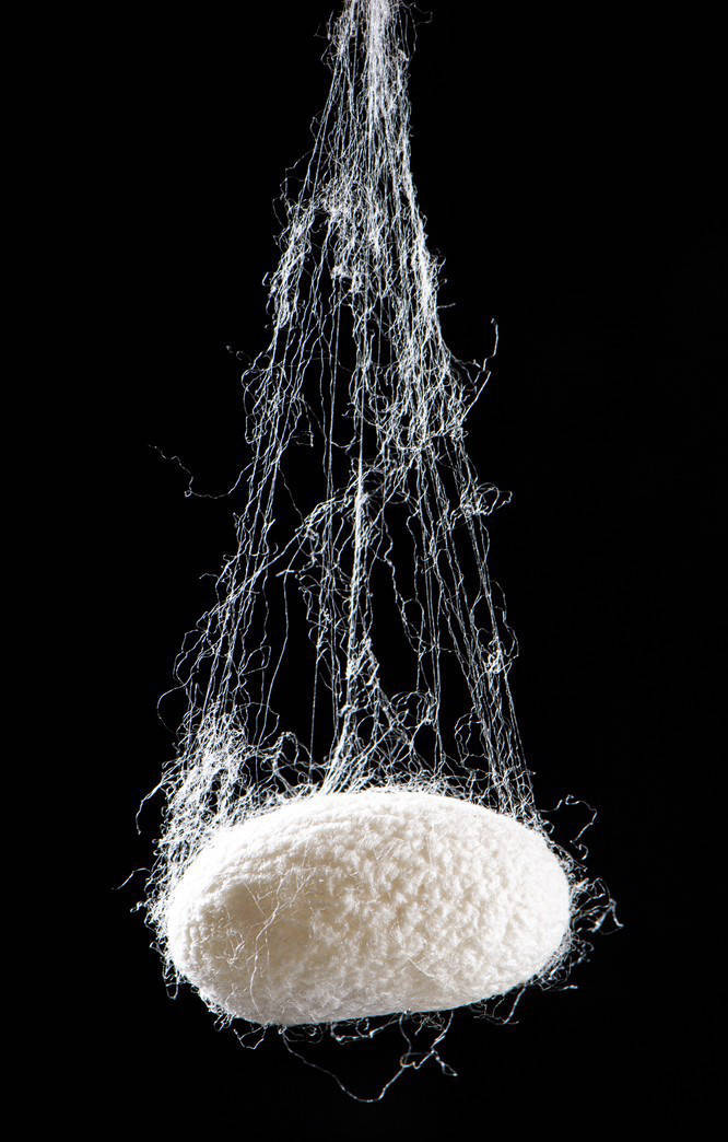 缫丝_丝绸_文明