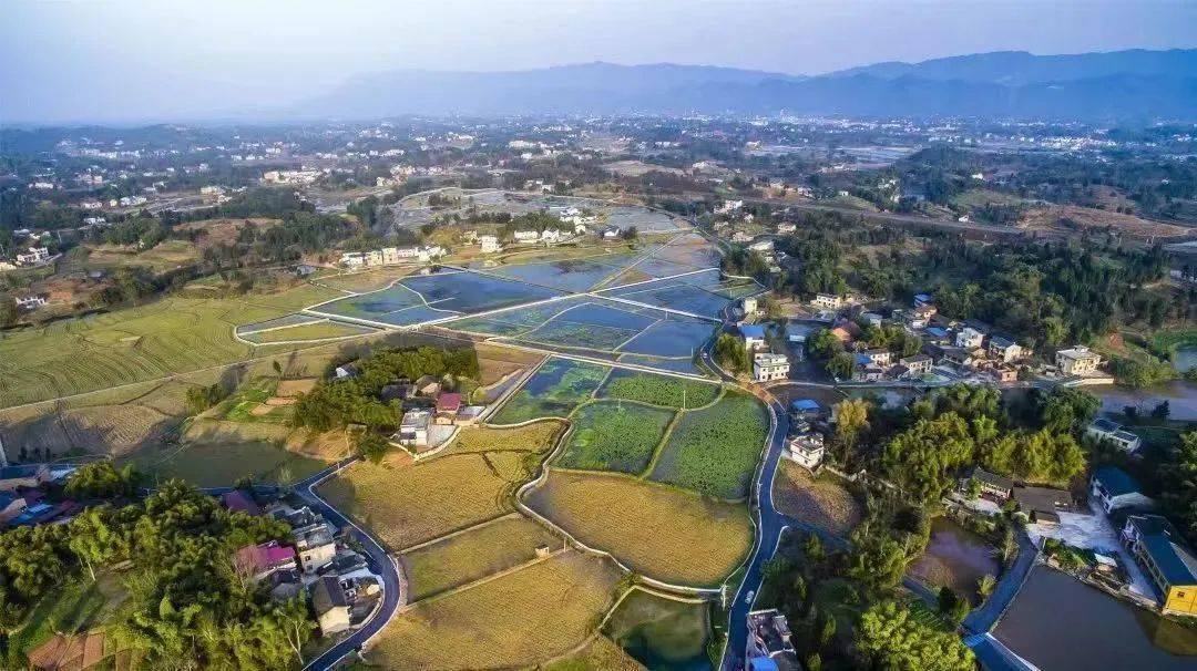 恭喜你们住在荣昌安富街道通安村的这些人特大喜讯!