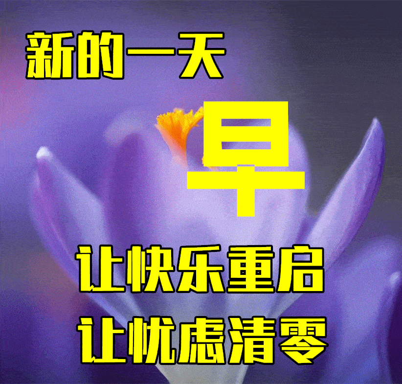 早上好动图片新版2022图片