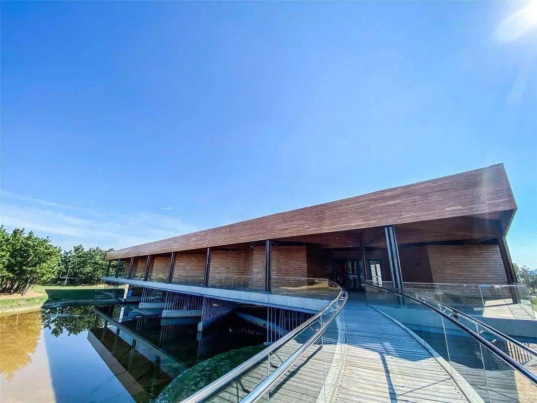 荣成_孩子_城市