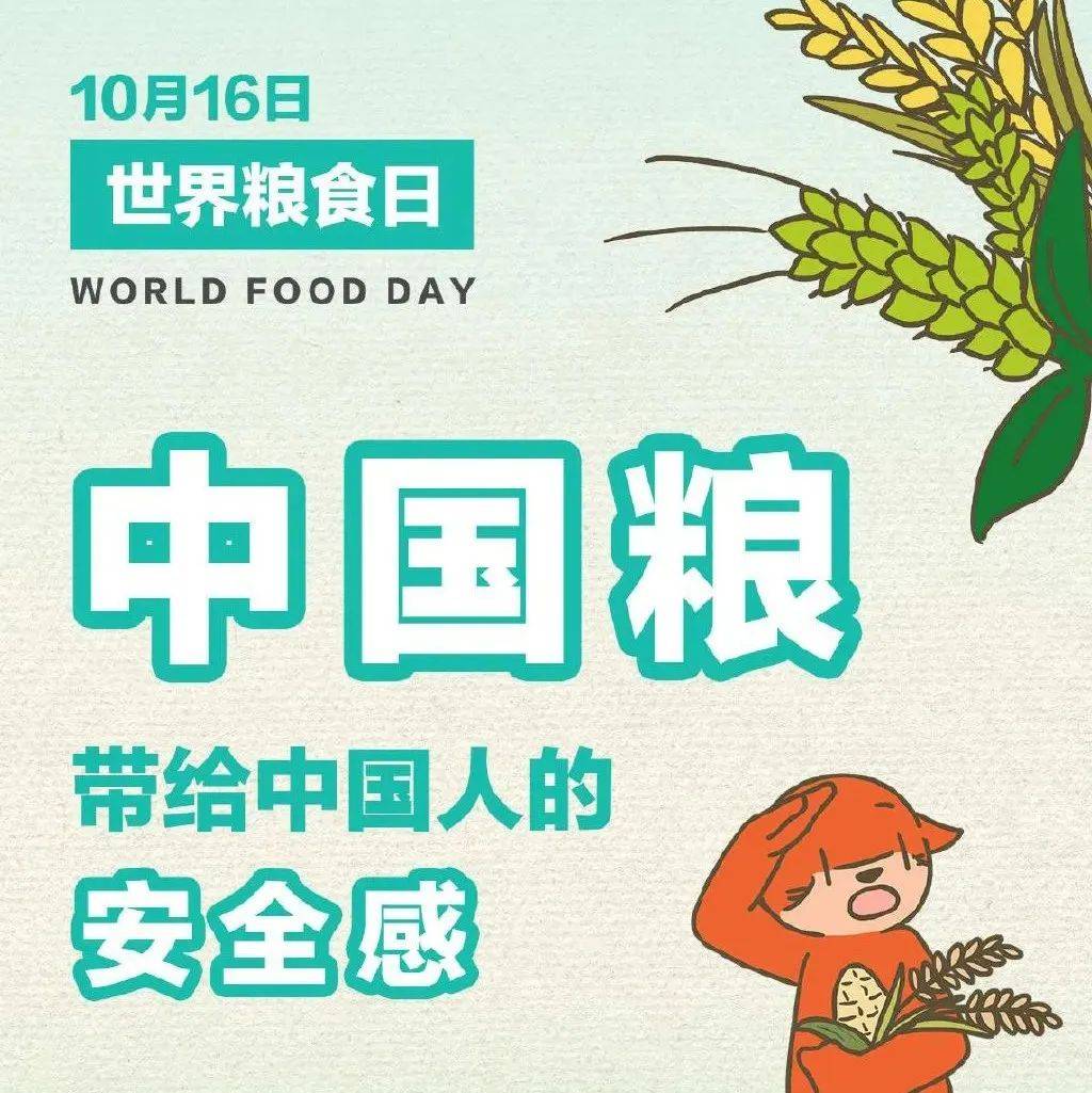 珍惜! 中国粮带给中国人的安全感_我国_变化_口粮