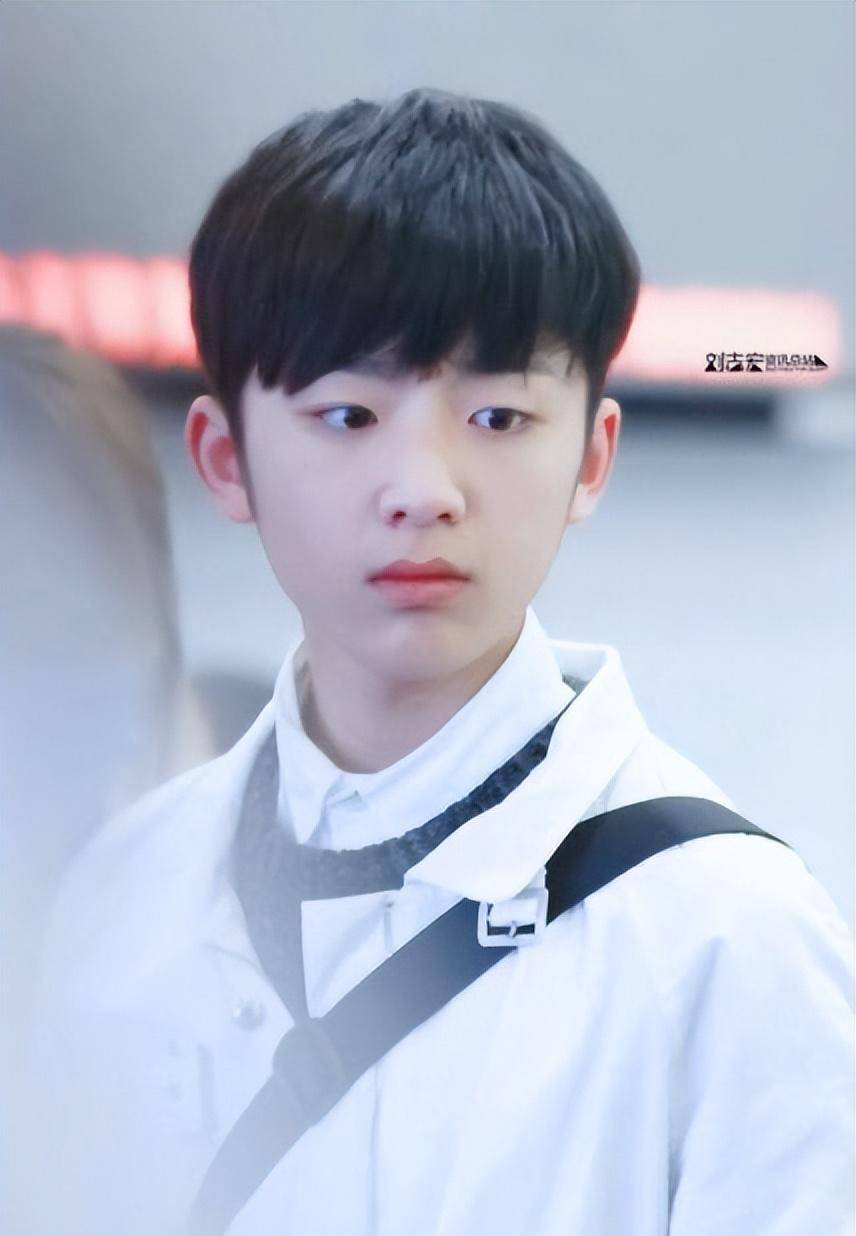 好久不见!前tf家族成员刘志宏罕见出境,个人纪录片开头感动众人