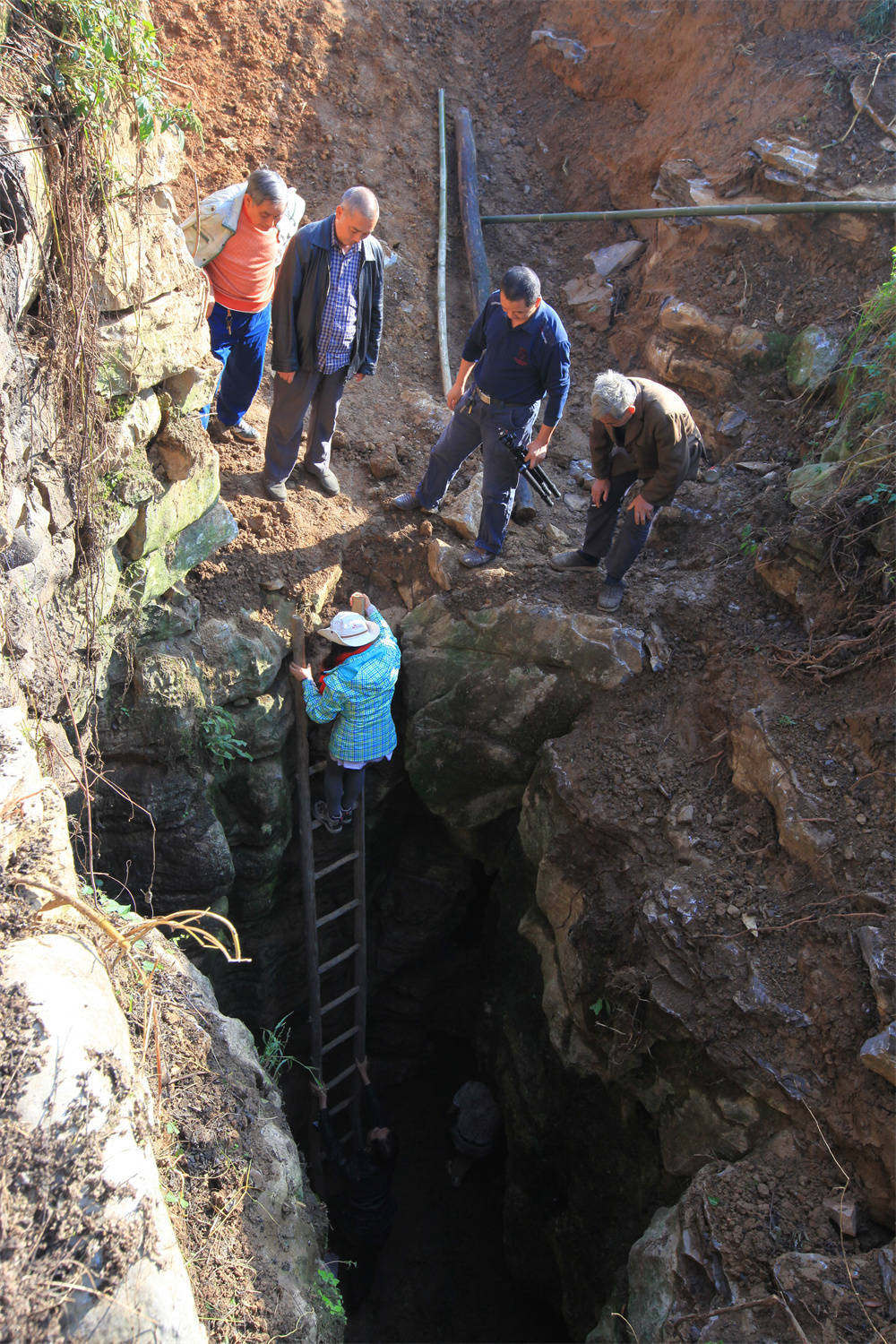 神奇!武隆一溶洞藏在“猪粪池”内，洞内石钟乳100年才长1厘米