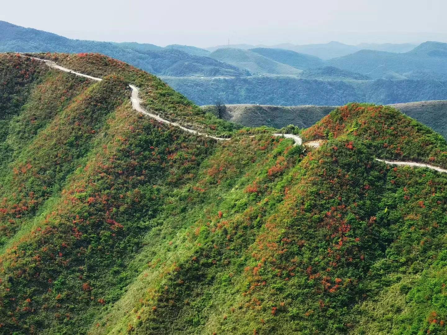 龙里周边自驾游景点图片