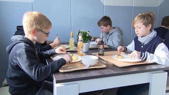 弗莱堡不顾州政府的建议,将只向幼儿园和小学提供素食_肉食_批评_包括