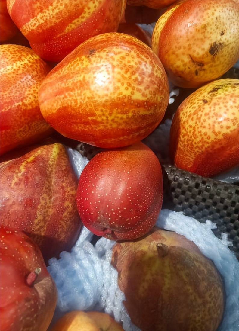 这些旅行者后遗症你有吗!_时候_jpg_纳西