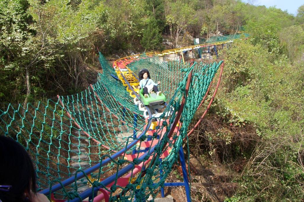 金猴景区森林滑道-新兴网红游乐项目_速度_优势_特色