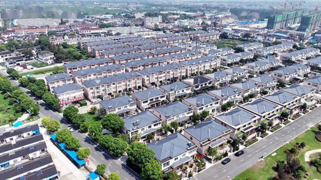 住在塘桥这个村,太幸福了!_横泾_服务_区域