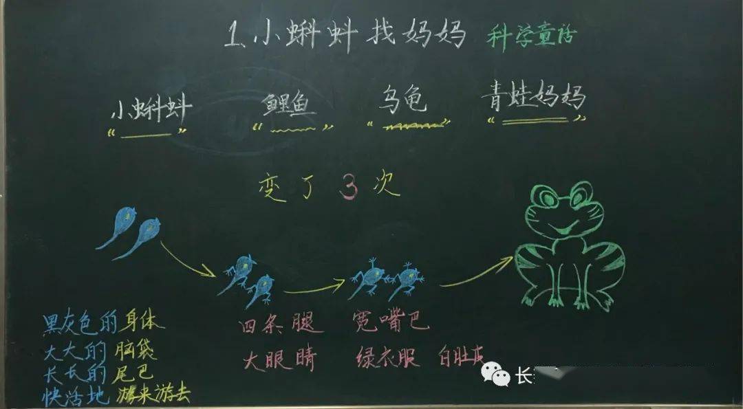 课文1《小蝌蚪找妈妈》