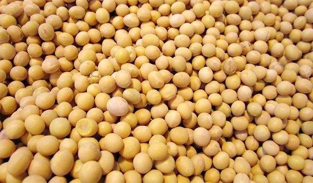 丝兰提取物如何降低饲料成本，实现降本增效