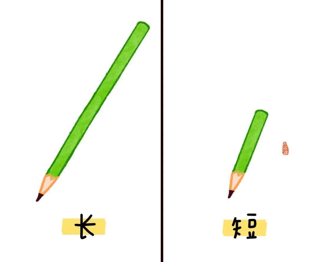 给幼儿园小朋友的反义词认知,轻松培养孩子的语言表达能力_词汇_事物