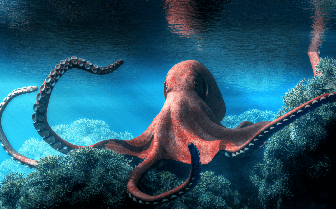 金刚_电影_火龙