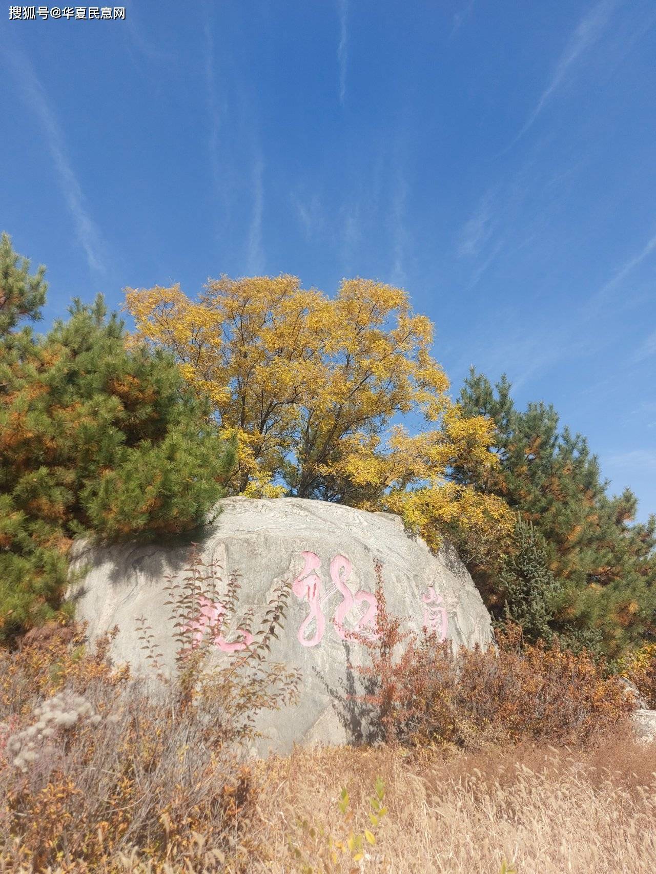 忻州九龙岗森林公园图片