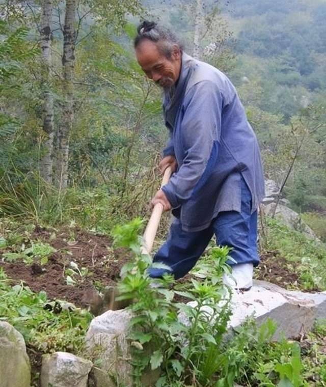 老和尚道出实情:都是样子货_生活_张剑锋_修行者