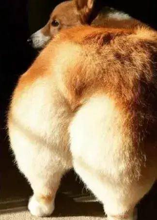 光背影就足够迷人_裤子_运动_时候