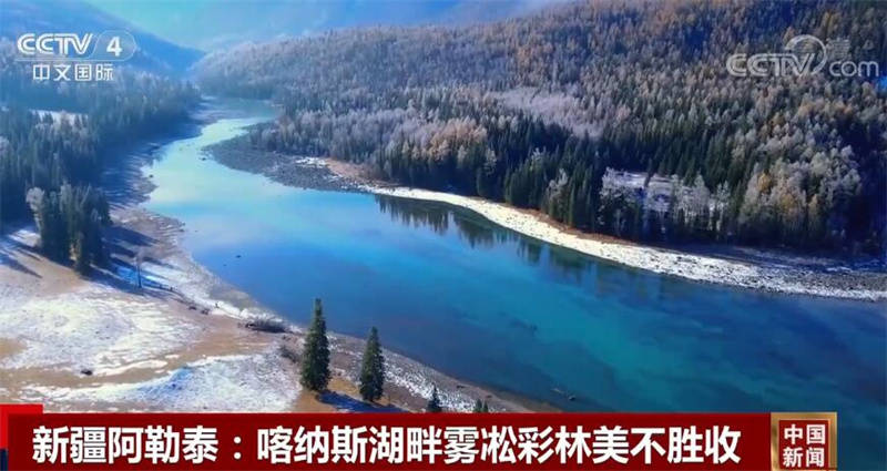 中国多地迎来迁徙候鸟 绘成一幅幅美丽和谐的生态画卷_雾凇_天鹅_群山