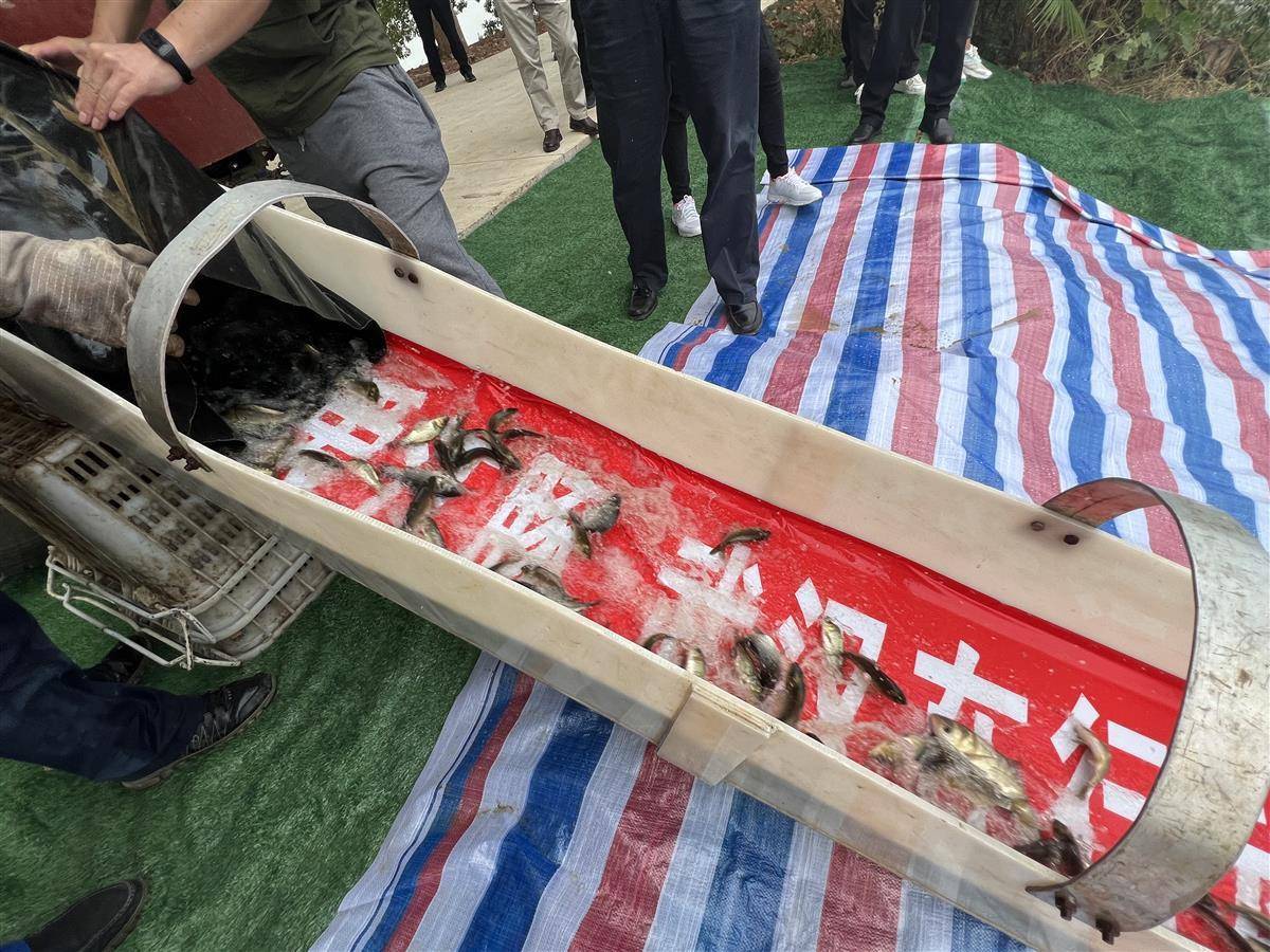 67让人工繁育江豚"吃得安全" 武汉7家企业捐赠饵料鱼10000公斤_长江