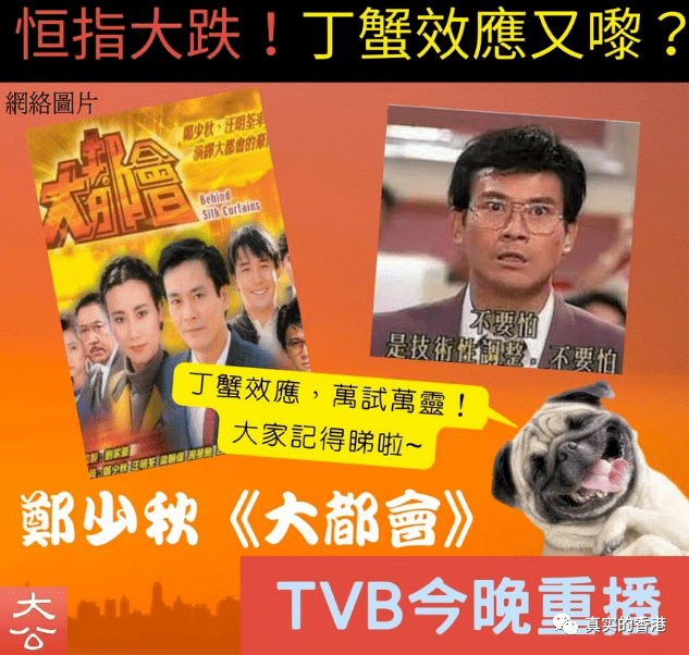 今天香港股市会怎样?_郑少秋_节目_电视剧