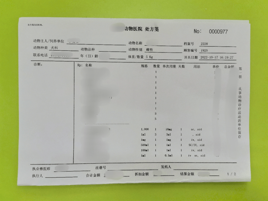 【与文明同行】如何带宠物正确就医?动物诊疗与执业兽医管理有新规