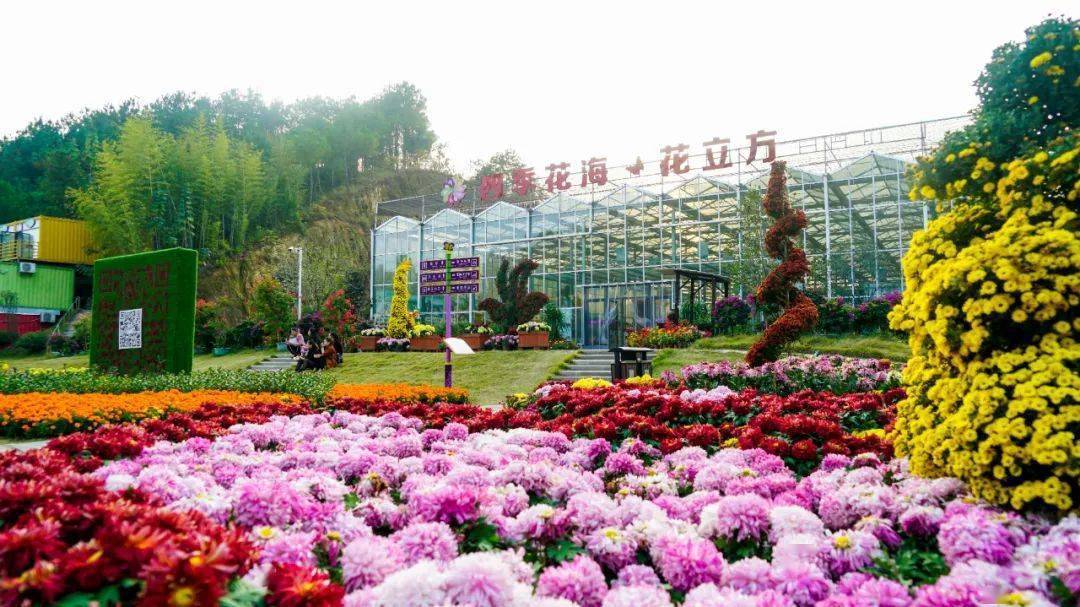 心动湖北送门票 | 第8期:游花海,泡温泉,来四季花海邂逅最美之秋!