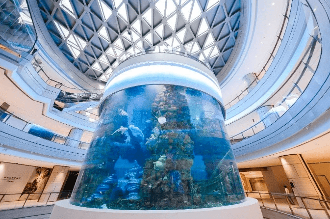 海洋馆 商业,打造城市文旅引擎_项目_海洋生物_主题
