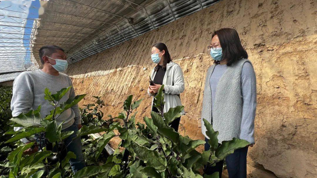 县委书记蒋冬梅督导疫情防控和市场保供稳价工作_保障_农副产品_农牧