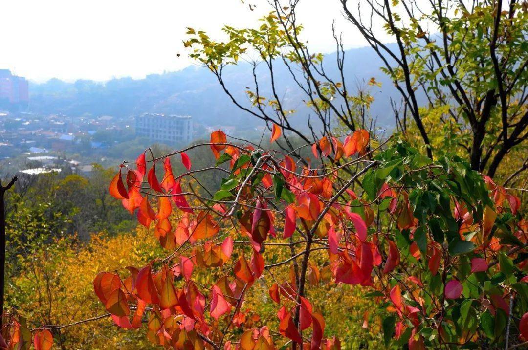 怀远荆山风景区图片