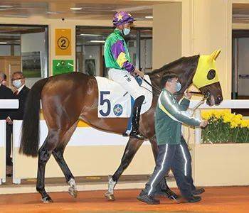 烽火台｜巫显东黎海荣图破闷局