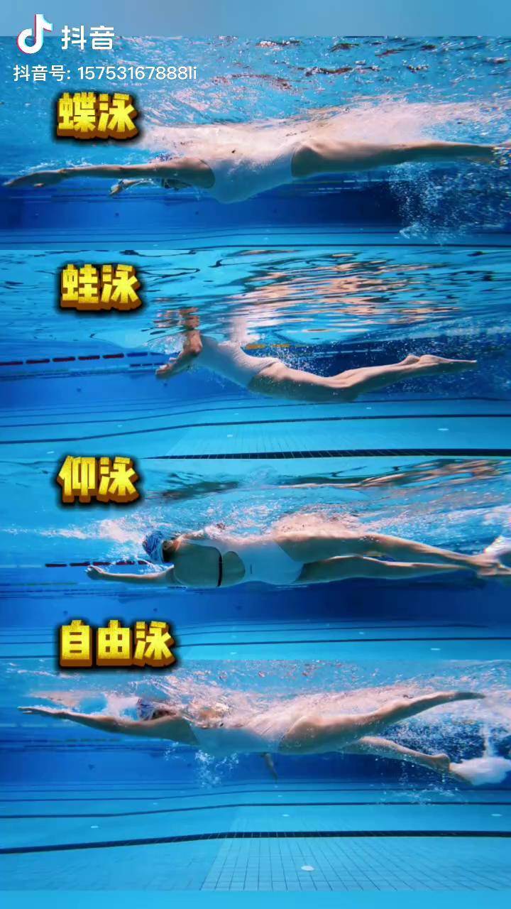 水下四种泳姿入水出发动作,这样直观看感受怎么样?