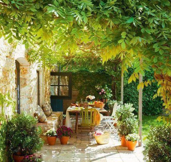 39款 · 网红庭院花园_盆景_院子_中国