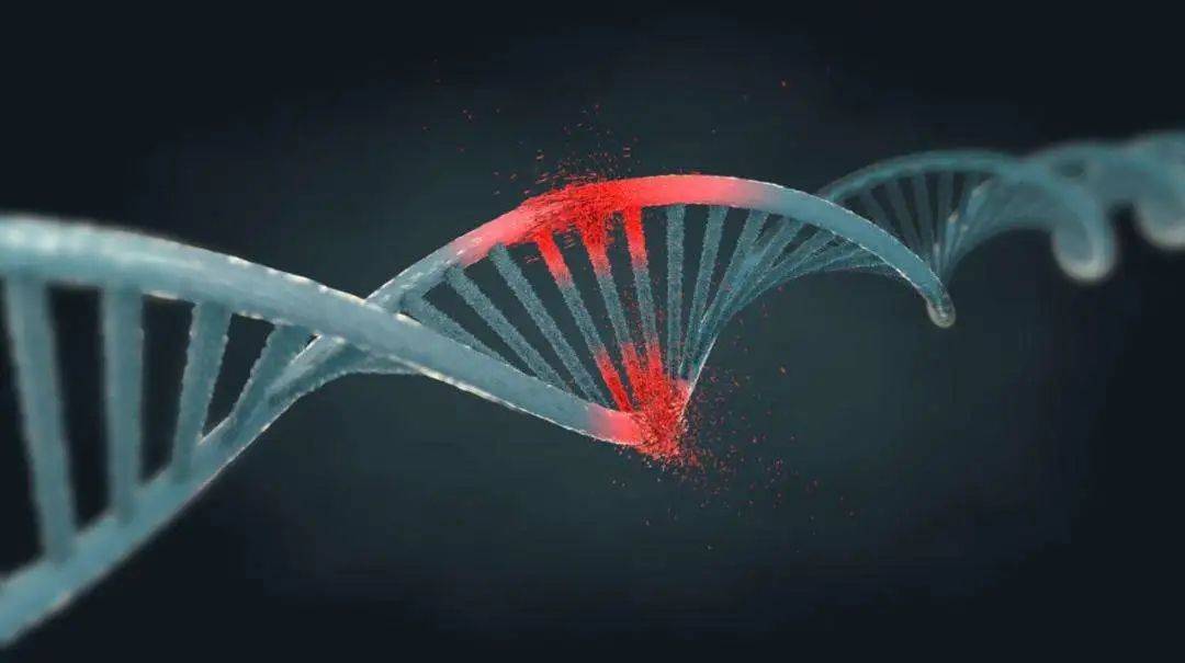 最新研究表明，新冠病毒破坏人的DNA，导致长新冠