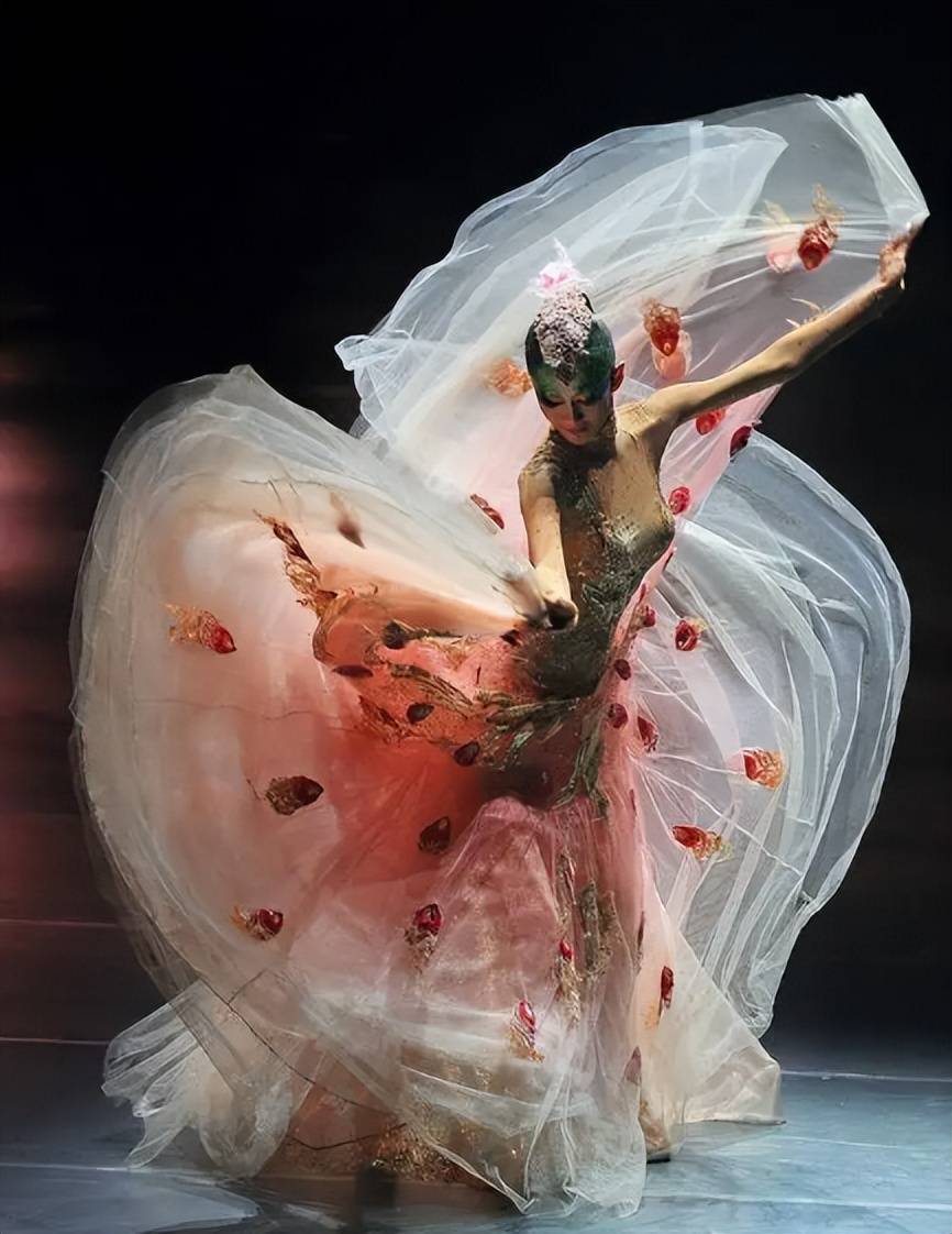 舞者杨丽萍:30年不吃米面,先后放弃2个挚爱,她到底图啥?